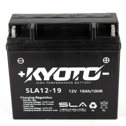 SLA12-19 SLA12-19